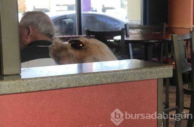 Günün en çok paylaşılan fotoğrafları