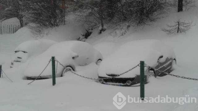 Günün en çok paylaşılan fotoğrafları
