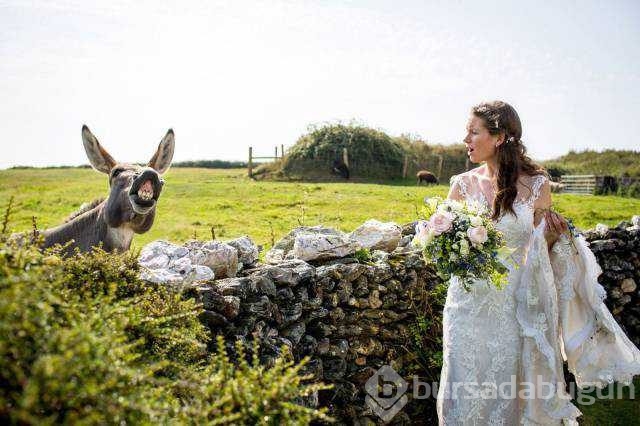 Günün en çok paylaşılan fotoğrafları