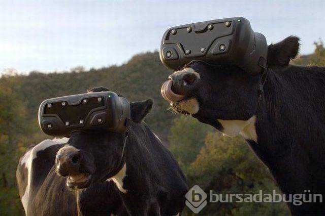 Günün en çok paylaşılan fotoğrafları