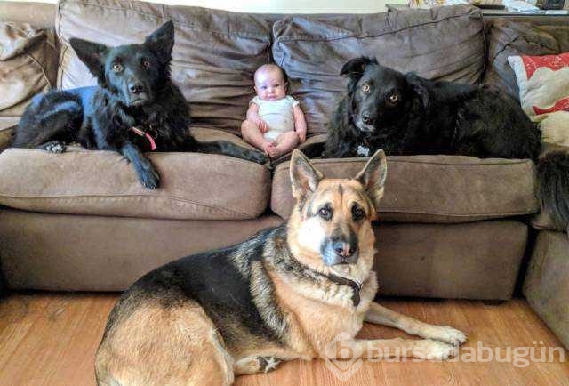 Günün en çok paylaşılan fotoğrafları