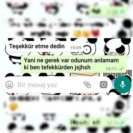 Komik WhatsApp konuşmaları