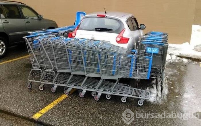 Birbirinden ilginç kareler!