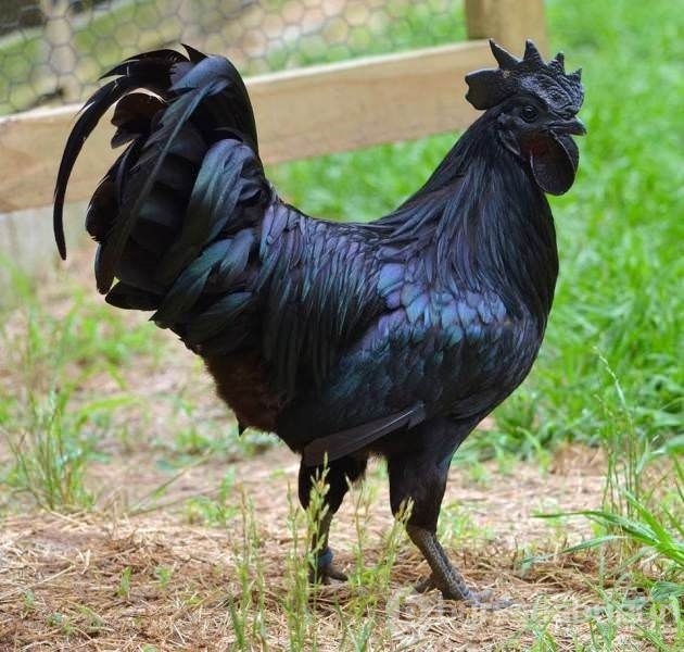Birbirinden ilginç kareler!