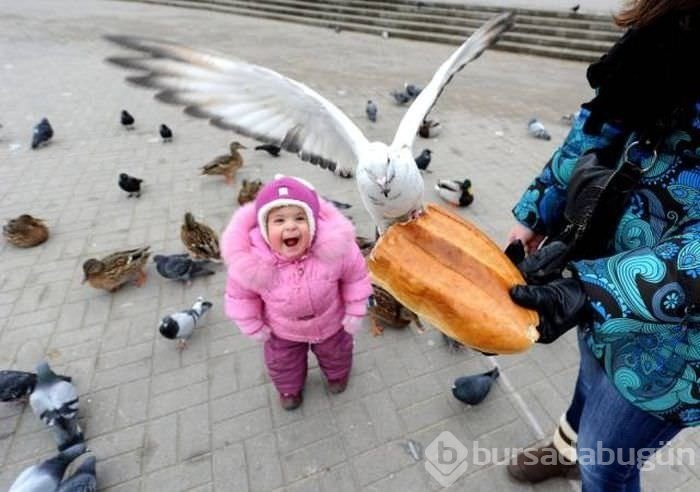 Birbirinden ilginç kareler!