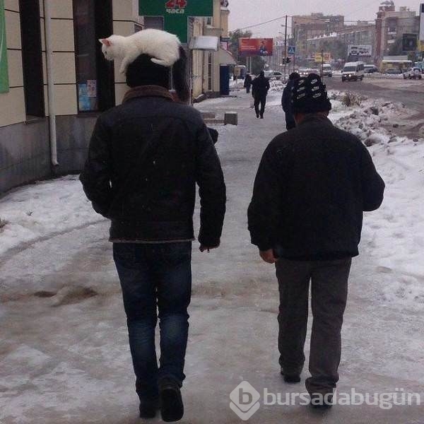 Birbirinden ilginç kareler!