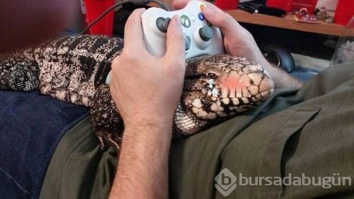 Birbirinden ilginç kareler!