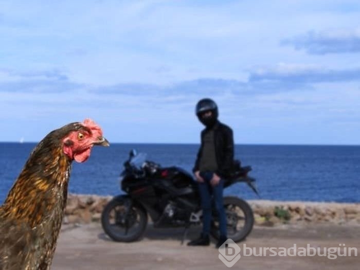 Birbirinden ilginç kareler!