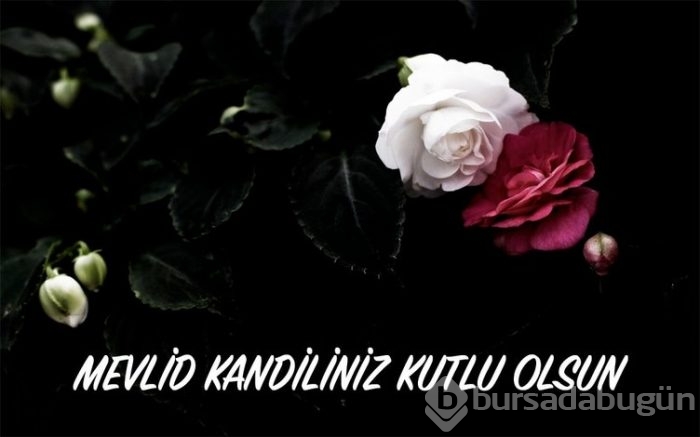 Mevlid Kandili kutlama mesajları 