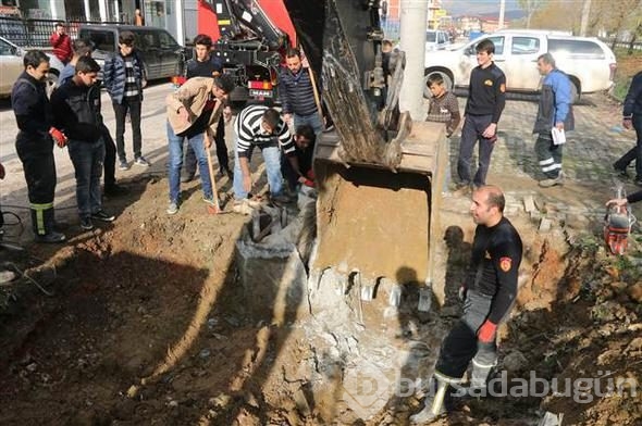 Kanalizasyona düşen atı, itfaiye kurtardı