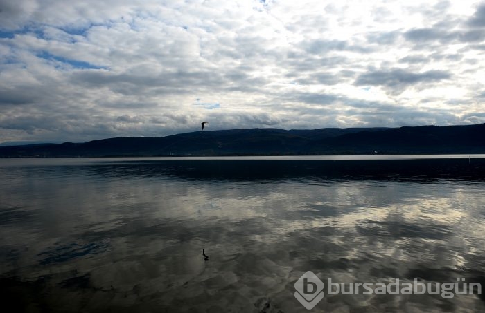 Bursa'da kuşlara "kuş bakışı"	