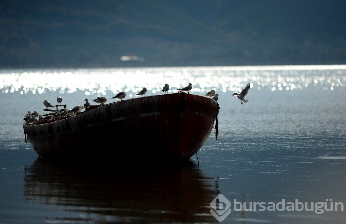 Bursa'da kuşlara "kuş bakışı"	
