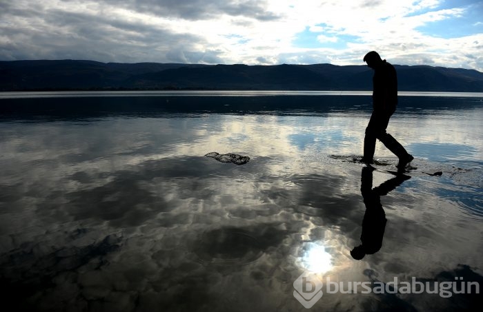 Bursa'da kuşlara "kuş bakışı"	