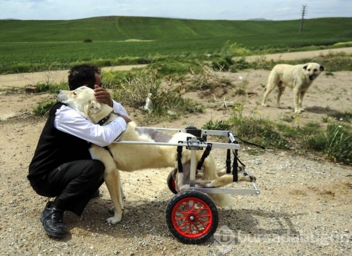 Yılın Fotoğrafı oylaması başladı