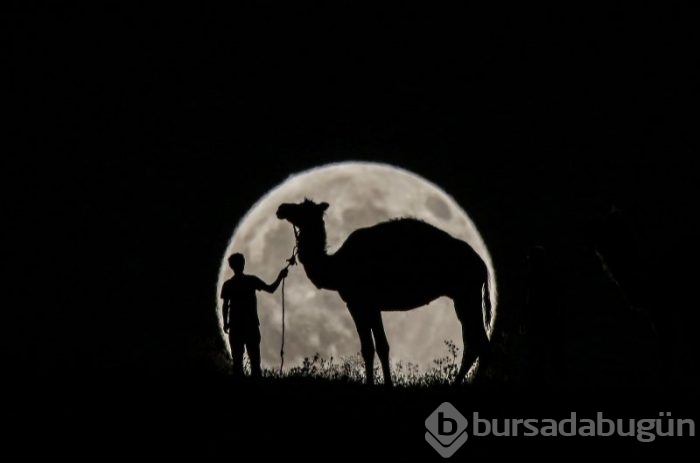Yılın Fotoğrafı oylaması başladı
