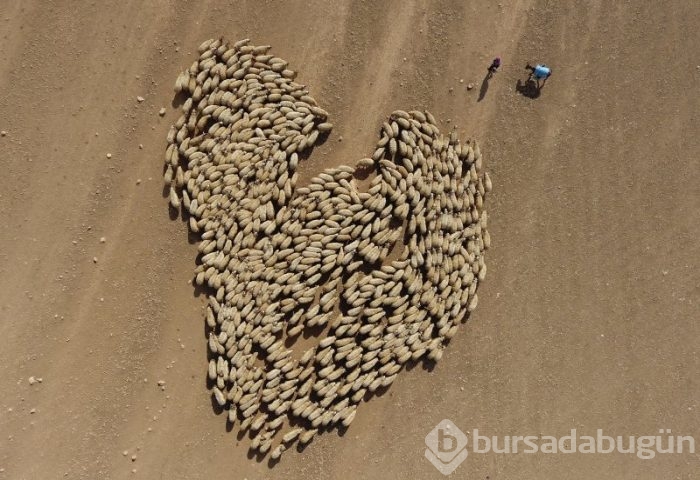 Yılın Fotoğrafı oylaması başladı