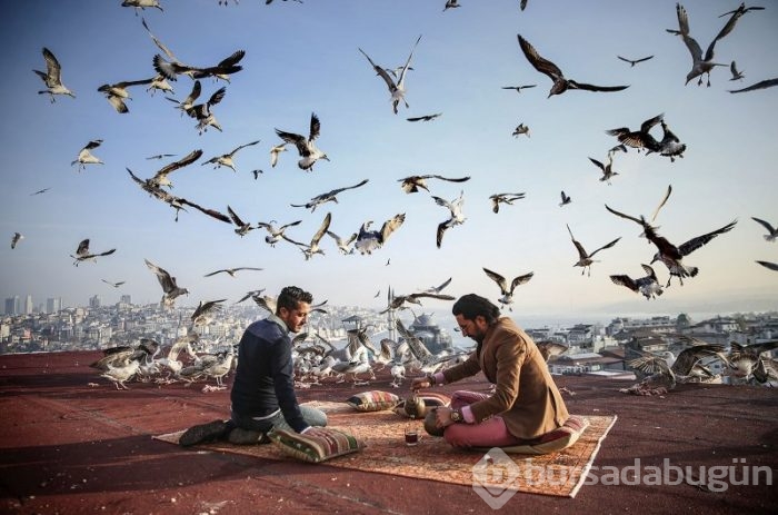 Yılın Fotoğrafı oylaması başladı