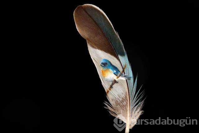 Günün en çok paylaşılan fotoğrafları