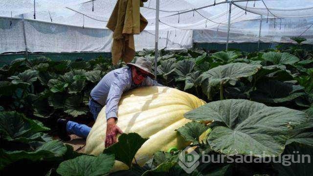 Günün en çok paylaşılan fotoğrafları