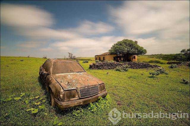 Günün en çok paylaşılan fotoğrafları