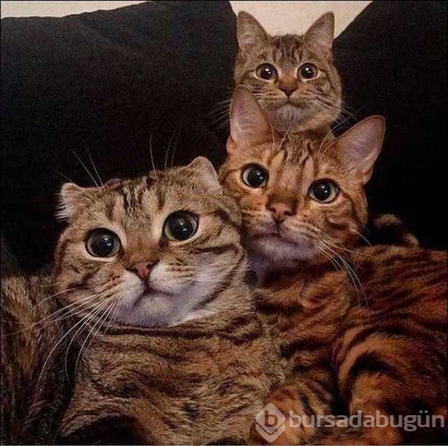 Günün en çok paylaşılan fotoğrafları