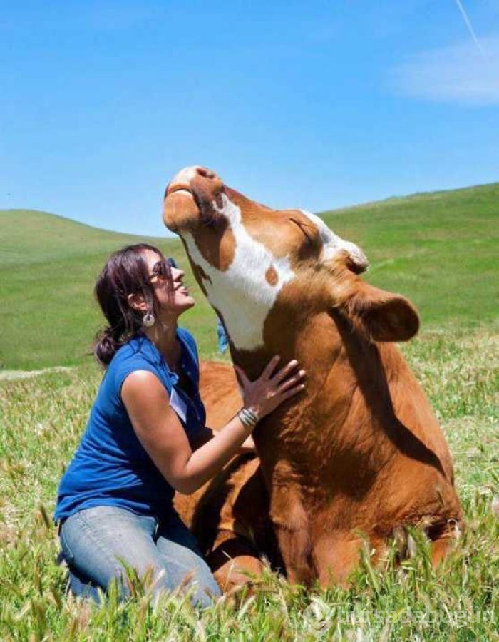 Günün en çok paylaşılan fotoğrafları