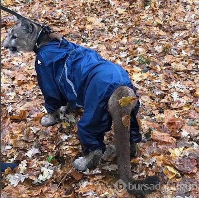 Günün en çok paylaşılan fotoğrafları