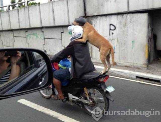 Günün en çok paylaşılan fotoğrafları