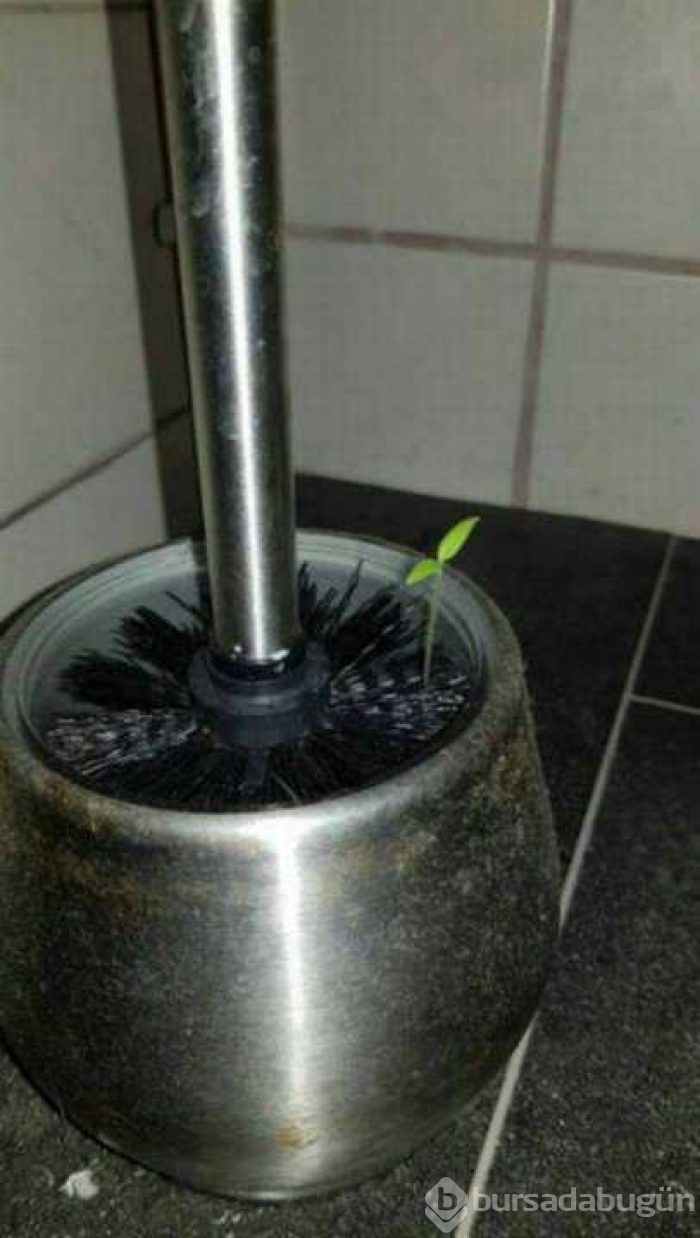 Günün en çok paylaşılan fotoğrafları