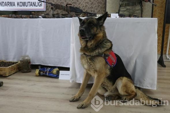 Kalemtıraşlı patlayıcılar ele geçti