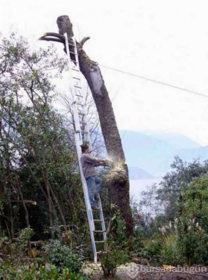 Güvenliği hiçe sayan insanların ölümcül cesaretleri