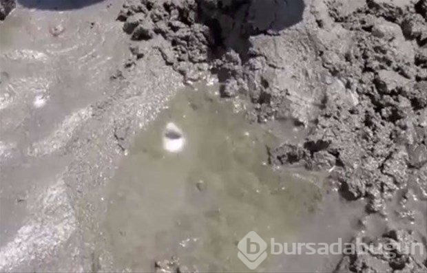 Avlanmak için öyle bir yöntem buldu ki!
