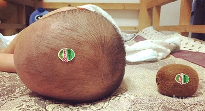 İlk bakışta göz yanılgısına neden olan 30 fotoğraf
