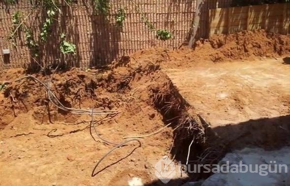 Bahçesi! Bir kumandayla değişiyor