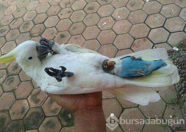 Günün en çok paylaşılan fotoğrafları
