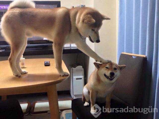 Günün en çok paylaşılan fotoğrafları
