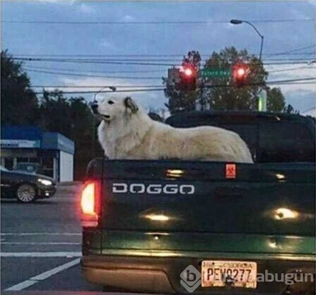 Günün en çok paylaşılan fotoğrafları
