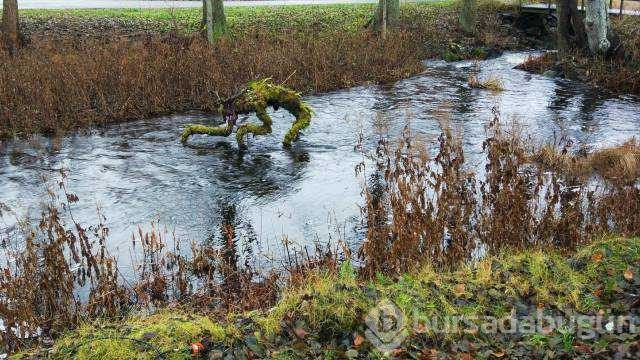 Günün en çok paylaşılan fotoğrafları
