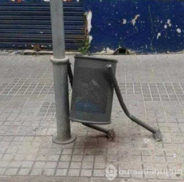 Günün en çok paylaşılan fotoğrafları
