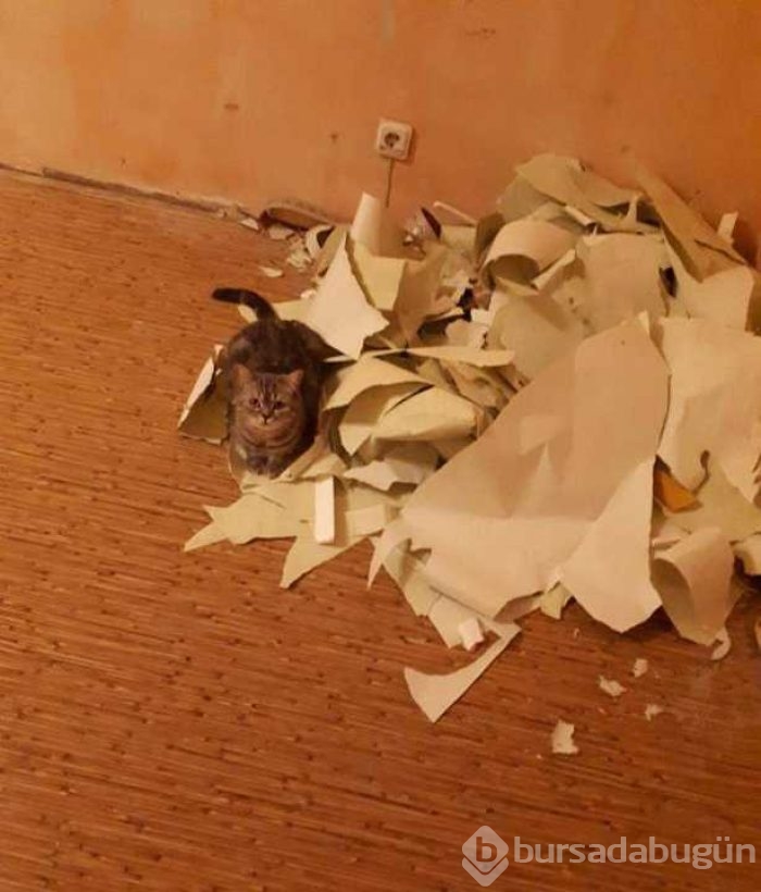 Günün en çok paylaşılan fotoğrafları
