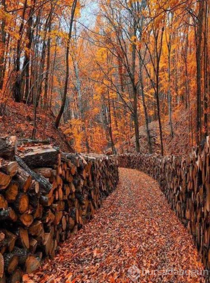 Günün en çok paylaşılan fotoğrafları
