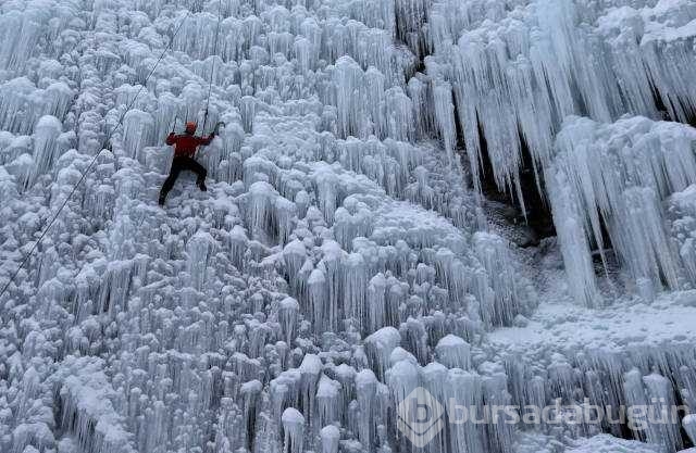 Reuters 2017'nin en iyi fotoğraflarını seçti