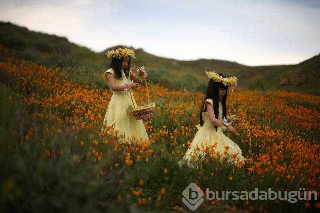 Reuters 2017'nin en iyi fotoğraflarını seçti