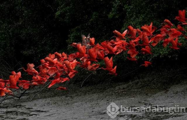 Reuters 2017'nin en iyi fotoğraflarını seçti