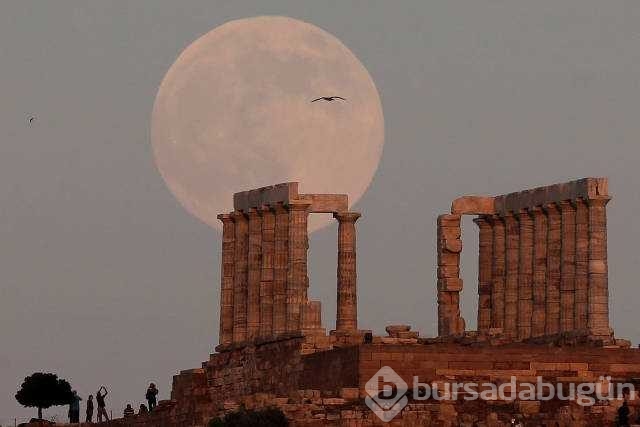 Reuters 2017'nin en iyi fotoğraflarını seçti
