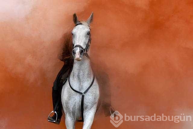 Reuters 2017'nin en iyi fotoğraflarını seçti