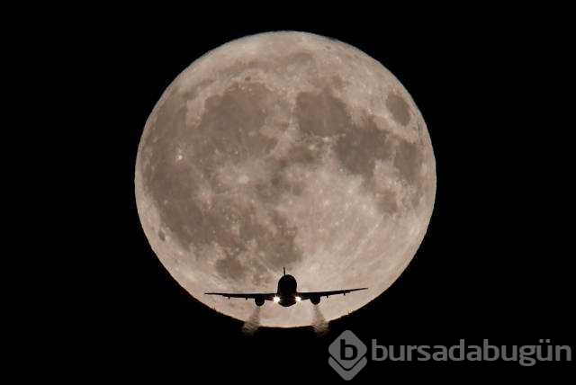Reuters 2017'nin en iyi fotoğraflarını seçti