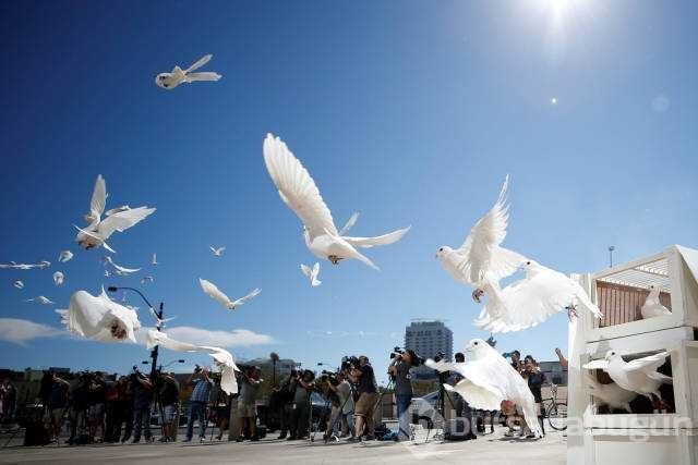 Reuters 2017'nin en iyi fotoğraflarını seçti