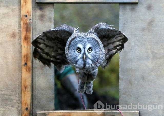Reuters 2017'nin en iyi fotoğraflarını seçti
