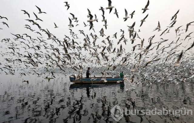 Reuters 2017'nin en iyi fotoğraflarını seçti